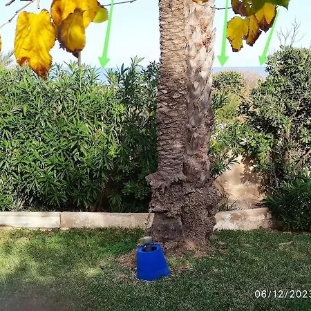 아파트 Casa En Primera Linea De Playa 데니아